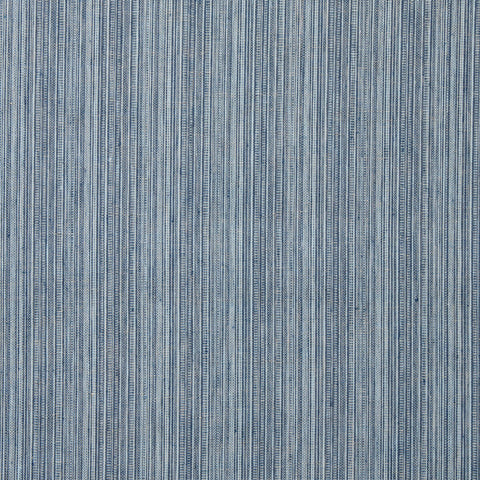 Hugo Strié Indigo Fabric