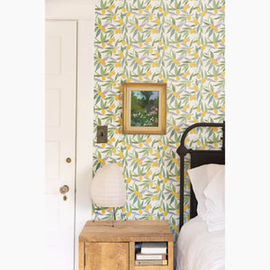 Kumquats (Small) Sunrise Wallpaper