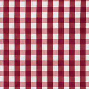 Little Check Raspberry Fabric