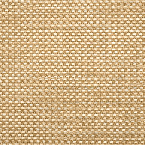 Palm Cove Golden Wheat Rug