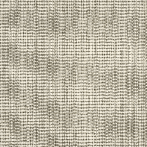 Roatan Platinum Rug
