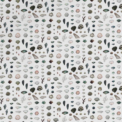 Shellz Foam Grasscloth Wallpaper
