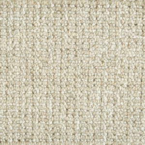 Sundara Sand Dollar Rug