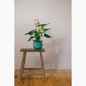 Taraka Pink Dusk Wallpaper