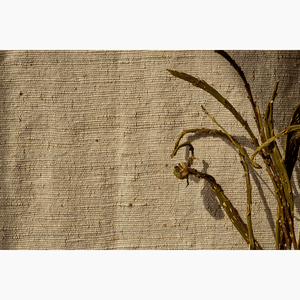 Terroir Darjeeling Fabric