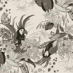 The Perfect Parrot Polly Noir Wallpaper