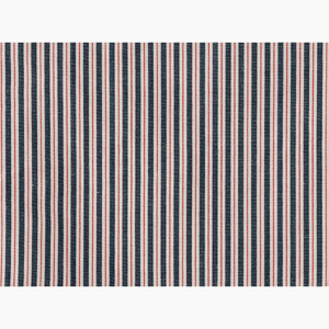Two Tone Ticking Indigo and Red Fabric