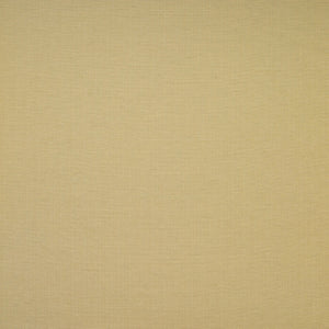 Woven Plain Pear Fabric