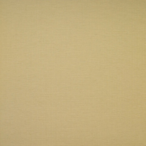 Woven Plain Pear Fabric