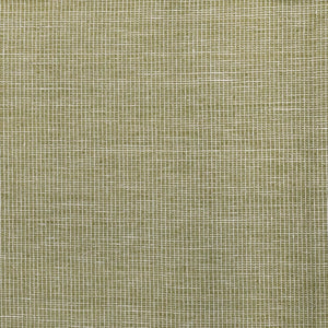 Catalina Solid Olive Fabric