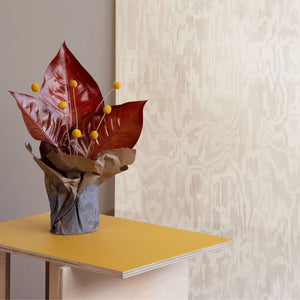 Desi Sandstone Grasscloth Wallpaper