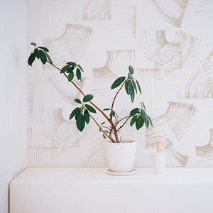 Echo Shell Wallpaper