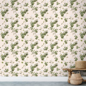 Geranium Bisque Wallpaper