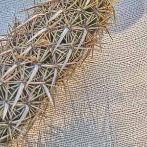 Natasha's Canvas Desert Cactus Leather Fabric