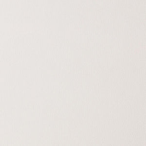 Natasha's Canvas Natural White Cactus Leather Fabric