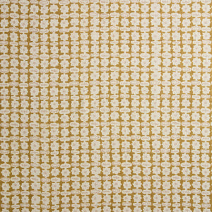 Pahari Saffron Fabric