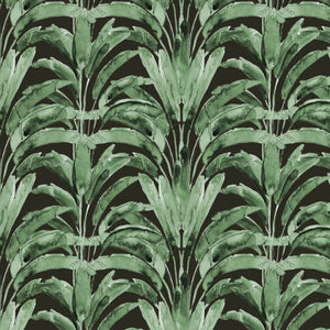 Palms Noir Wallpaper