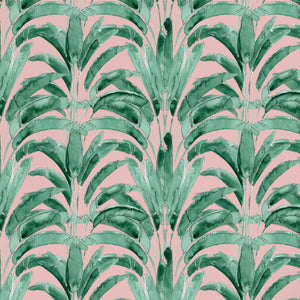 Palms Rose Wallpaper