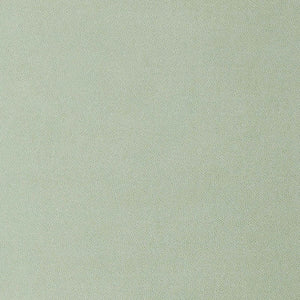 Pebbled Cactus Cactus Leather Fabric