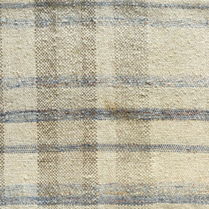 Picnic Plaid Blue Rug
