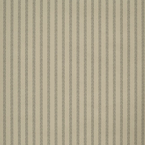 Polka Stripe Creme Noir Wallpaper