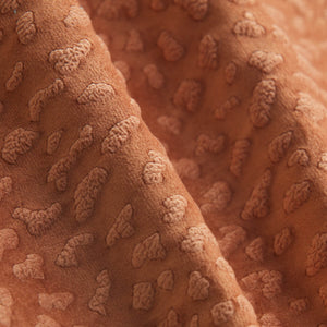 Risheh Burnished Velvet Fabric