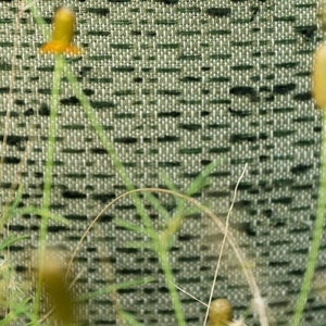 Shiga Brick Eucalyptus Fabric