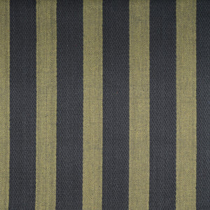 Taza Stripe Agave Fabric