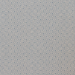 Violette Denim Fabric