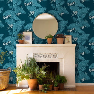 Aurora Midnight Wallpaper