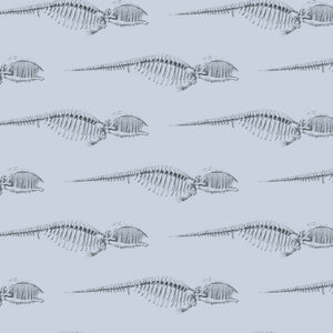 Bruce Cool Hand Luke Wallpaper