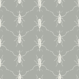 Buggie Grey's Anatomy Wallpaper