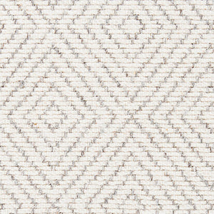 Recoleta Light Grey Rug