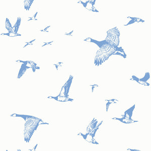 Flock In Flight Midocean Wallpaper