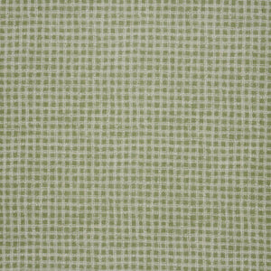 Legend Agave Fabric