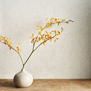 Meiro Limestone Wallpaper