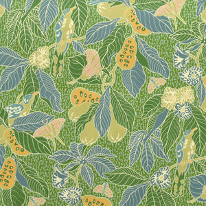 Pawpaw Leaf Green Wallpaper