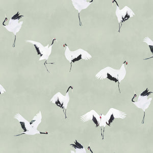 Tancho Sage Wallpaper