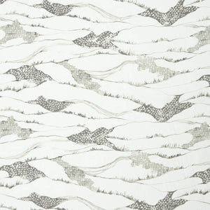 Toile de Terrain Graphite Fabric