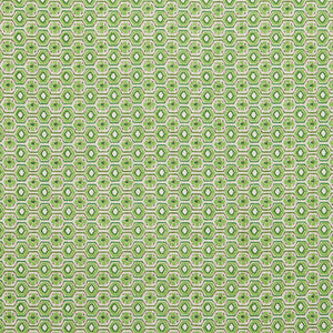 Veneto Kelly Green Fabric
